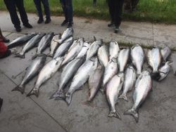 Four fish caught at Manistee