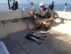 Two fish caught in MI during fishing trip