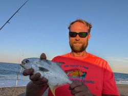 Florida Pompano caught while fishing in Lewes DE
