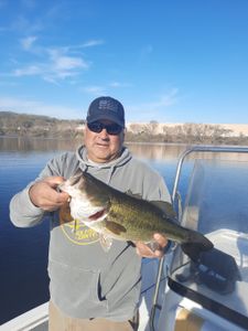 The Pursuit of Trophy Bass