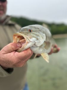 Fishing in Kaleva