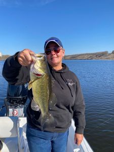 A single largemouth bass caught while fishing in Kaleva