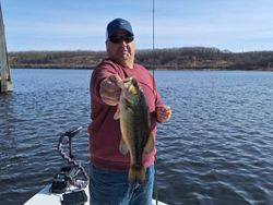 Largemouth bass caught while fishing in MI