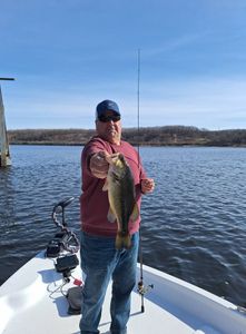 Largemouth Bass caught in Kaleva