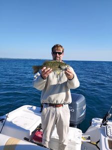 Smallmouth bass caught while fishing in MI
