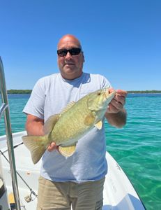 Smallmouth Bass caught fishing in MI