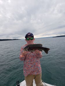 Smallmouth bass caught in Kaleva