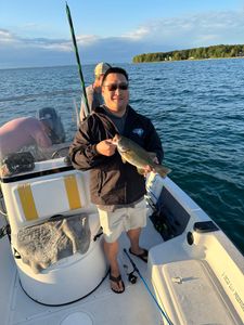 Smallmouth Bass caught in Kaleva, fishing