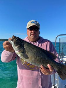 A photo of a Smallmouth Bass fish caught in Kaleva