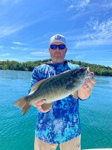 Smallmouth bass caught in MI