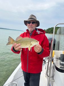Smallmouth Bass caught in MI