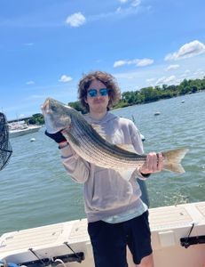 One angler reeling in a catch in MA