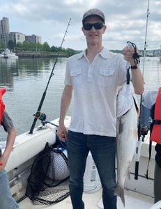 A lone angler fishing in MA, landing a 28-inch catch.