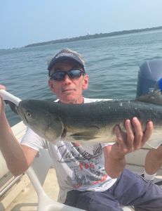 One person fishing in MA