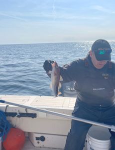 Fishing in Hingham