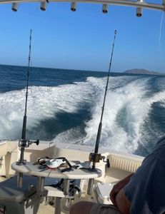 Hingham fishing tour adventure