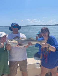 Striped bass caught in Hingham