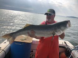 Striped bass caught while fishing in Hingham