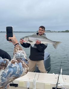 Striped bass fishing in Hingham, Massachusetts