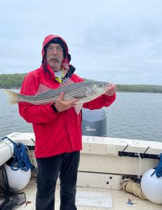 A lone angler fishing in MA
