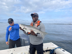 A massive striped bass landed after a thrilling deep sea fishing adventure in Boston!
