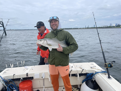 Hooked a monster striped bass with some deep sea jigging and trolling skills!