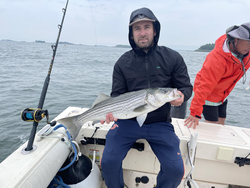 Reeling in a big striped bass with some tricky deep sea techniques!