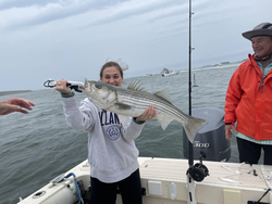 Reeling in a monster striped bass on a cloudy day in Boston!
