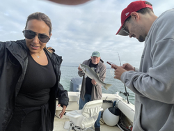 Nice striped bass caught using deep sea jigging and light tackle in Hingham!