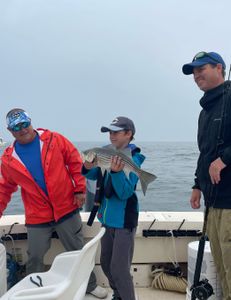 A striped bass measuring 15 inches caught in MA