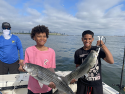 Hooked into some big striped bass with the deep sea jigging and trolling techniques