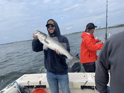 Striped bass caught with expert deep sea jigging and trolling techniques on a partly cloudy day!