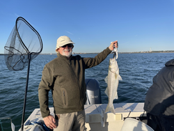 Nice striped bass using deep sea jigging and trolling techniques in partly cloudy conditions!