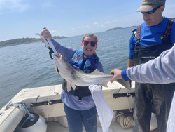 A 19-inch striped bass caught in the waters off Boston on a partly cloudy day!
