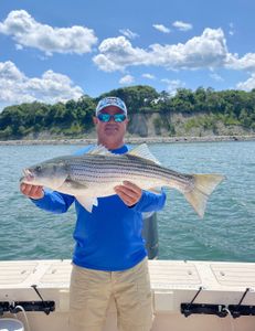 Striped bass caught in Hingham during fishing tour