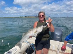 Striped bass caught fishing in Hingham