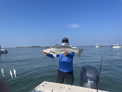 Reeling in the striper action with some deep sea magic in Hingham!