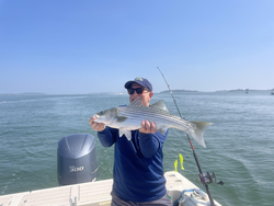 Striped Bass strikes gold in Hingham's partly cloudy waters!