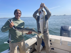 Nice pair of striped bass using deep sea jigging and light tackle in partly cloudy conditions!