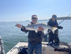 Nice striped bass using deep sea jigging and light tackle in partly cloudy conditions.