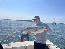 Striped Bass on the line in Hingham's clear waters!