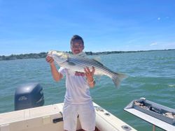 Striped bass caught while fishing in MA