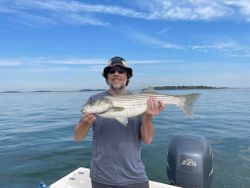 Striped bass caught in MA