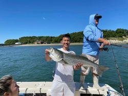 Striped bass fishing in MA