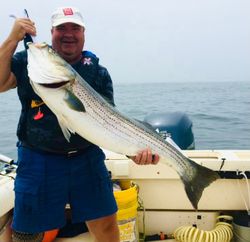 Striped bass caught on fishing trip in MA