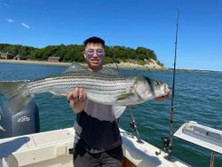 Striped bass fishing in MA
