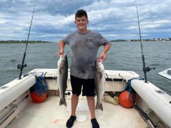 Striped bass, 23-inch fish, fishing in MA