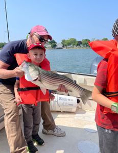 Striped bass caught while fishing in MA
