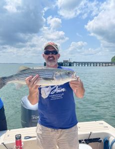 Striped bass, fishing in MA