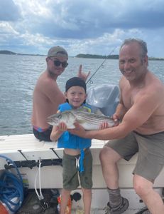 Striped bass caught in MA during fishing trip